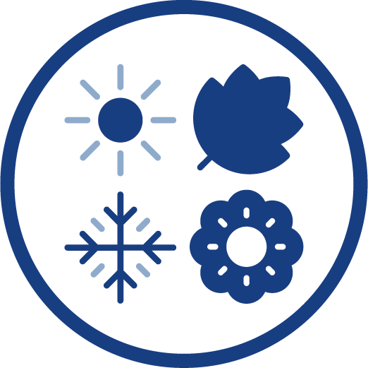 All Season Solid Perfume - Arca Fragrance